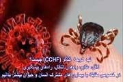 تب کریمه کنگو (CCHF) بیماری‌ مشترک انسان و حیوان